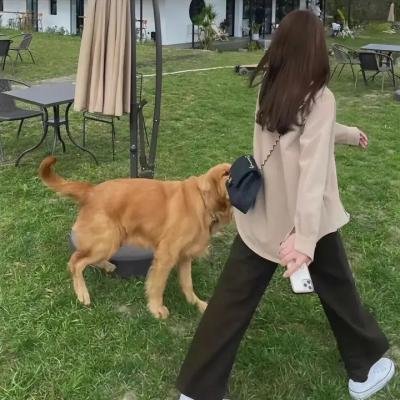 骗行天下