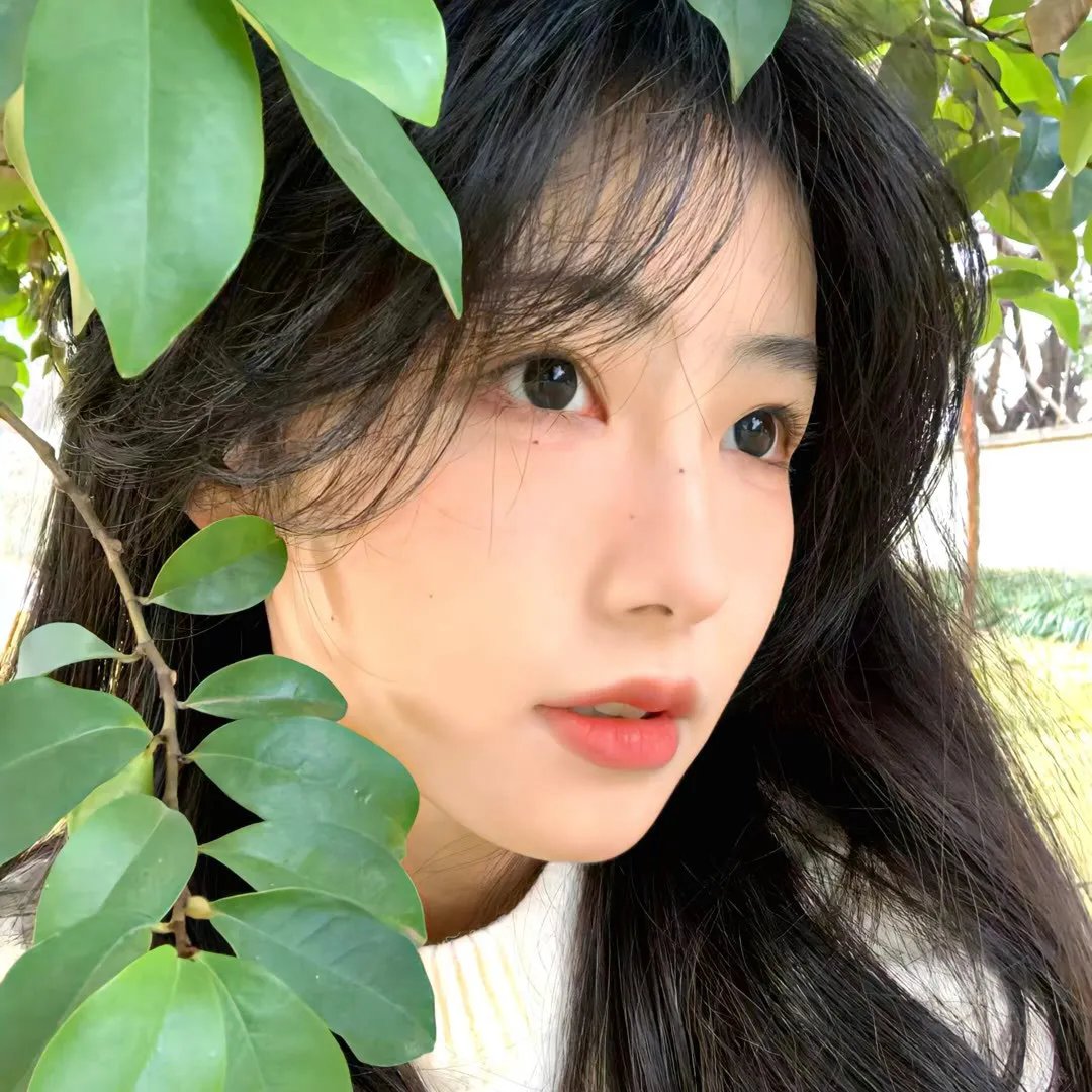 群莺乱飞